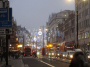 An exclusive MailOnline poll has uncovered intriguing insights into the UK's Christmas plans   