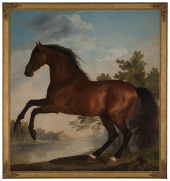 Stubbs: Portrait of a Horse