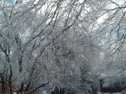Historic U.S. winter storm knocks out power to 230,000, grounds thousands of flights nationwide