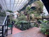 Londoners adopt cuttings from the Barbican’s iconic tropical garden before renovation