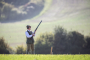 UK government opens review of gamebird shooting’s impact on wildlife and animal welfare