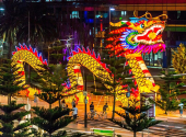 Chinese New Year Gala celebrated in London