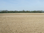 £65m drought package unveiled as ministers warn farmers cannot bear climate risk alone