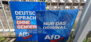 AfD secures historic win in Saxony-Anhalt as Merz’s CDU faces dramatic election collapse