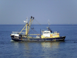 UK food industry cheers EU deal, but fishermen cry betrayal