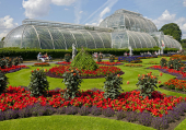 Kew Gardens adapts to climate change with new tree planting strategy