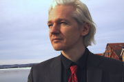 Julian Assange's legal journey: an update