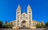 Natural History Museum becomes UK’s most visited attraction in 2025, surpassing British Museum