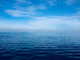 UK ratifies High Seas Treaty to boost protection of global oceans