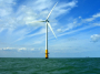 Government unveils plan to fast-track offshore wind and revive UK marine habitats   