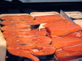 England’s salmon stocks fall to record low as 95% of rivers face population decline