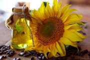 Geneva firm’s sunflower oil stocks destroyed in Russian strikes near Odessa