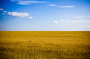 UK, Ukraine and Latvia expand joint effort to trace stolen Ukrainian grain