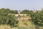 New 13-mile King Charles III Coast Path opens along Suffolk’s Stour Estuary